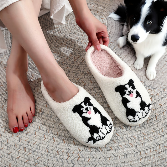 Collie - slippers